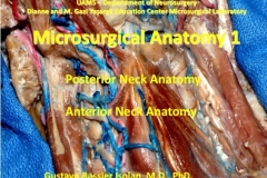 Captura-de-tela_29-9-2025_11728_docs.google.com_