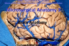 Captura-de-tela_29-9-2025_11745_docs.google.com_