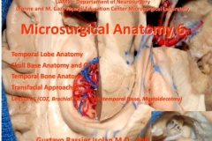 Captura-de-tela_29-9-2025_11820_docs.google.com_