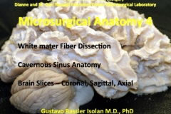 Captura-de-tela_29-9-2025_1186_docs.google.com_