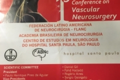 1o-Panoramican-Conference-on-Vascular-Neurosurgery