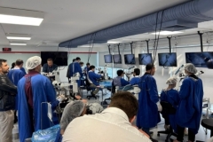 Curso-Hands-On-de-disseccao-do-osso.-Temporal-da-Fisch-Foundation-e-FEMPAR-em-nosso-laboratorio-de-microcirurgia-da-FEMPAR-em-Curitiba
