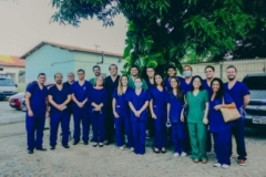 Curso-de-disseccao-de-fibras-brancas-em-2022-2